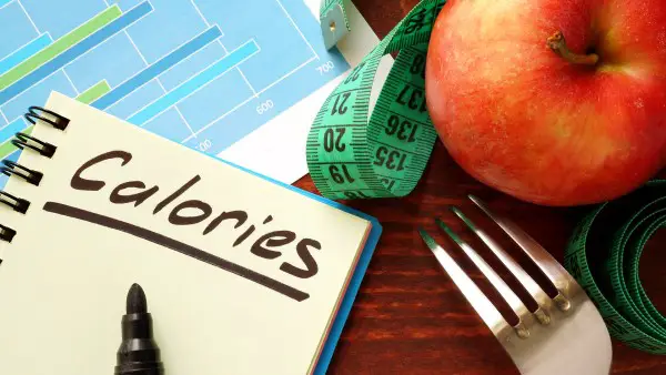comment connaître le besoin calorique journalier 